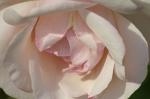 PICT0589.jpg