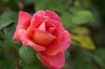 PICT0604.jpg
