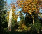 automne.jpg
