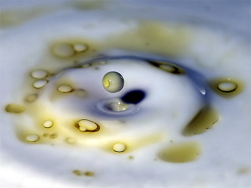 GOUTTE_04.jpg