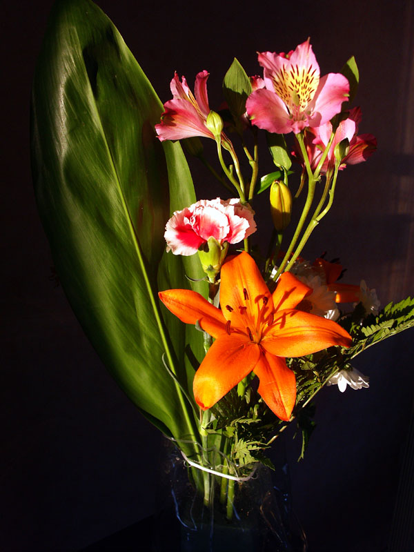 PICT1778.jpg
