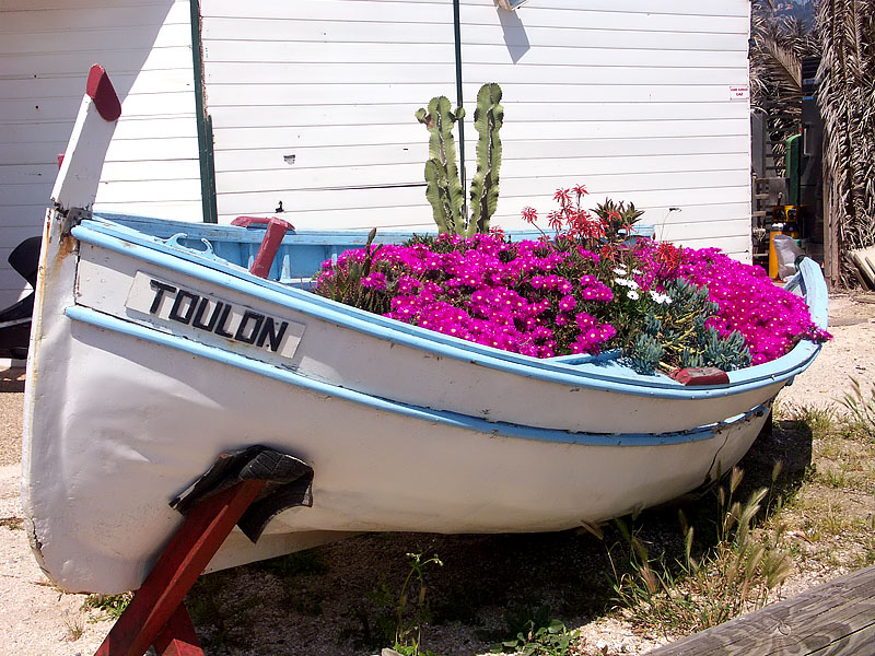 PICT2165_800.jpg