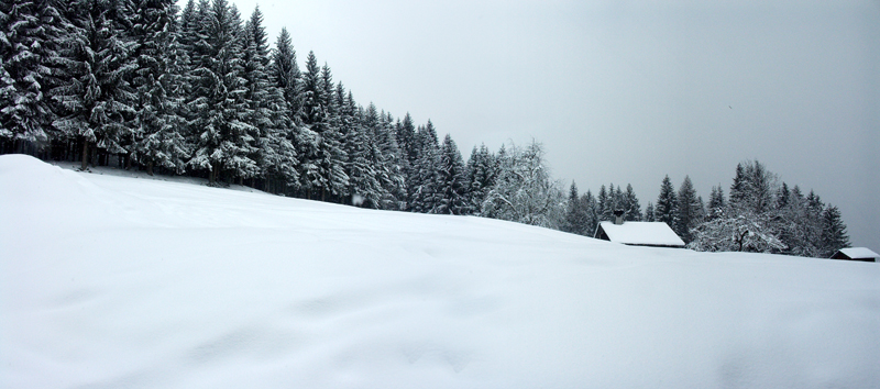Morillon4.jpg