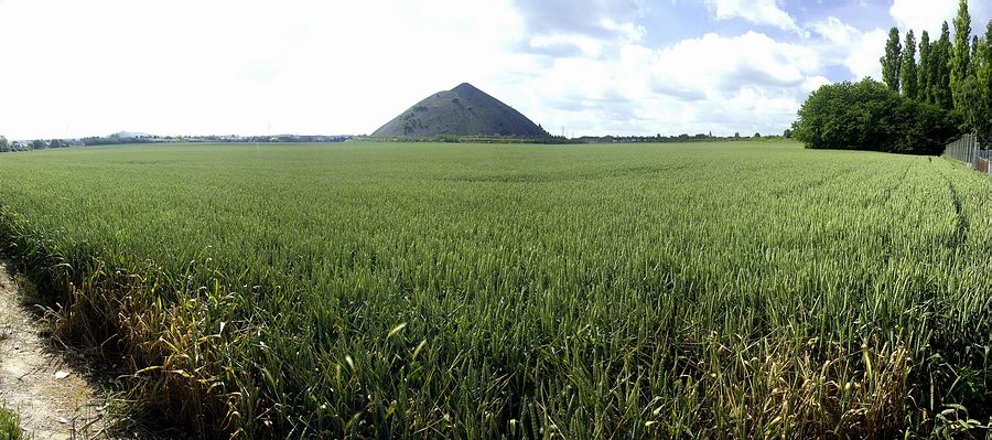 Terril1web.jpg