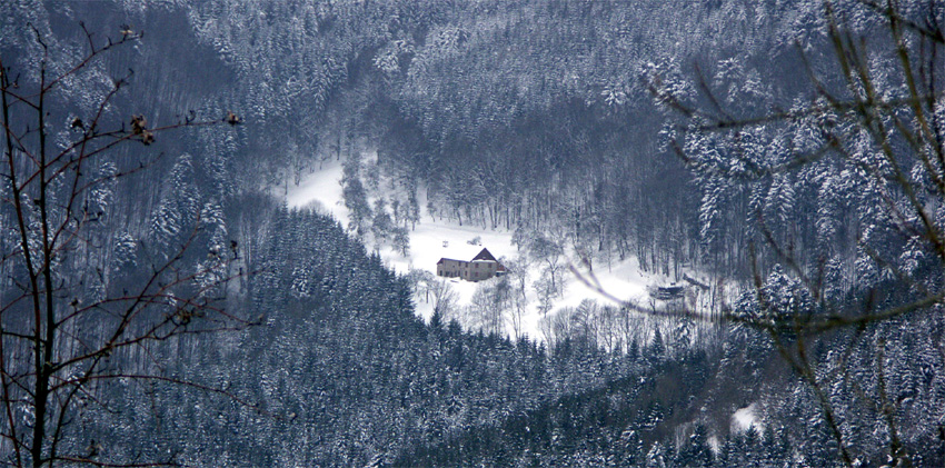 pano-champs-du-feux.jpg