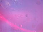 20040402C013.jpg