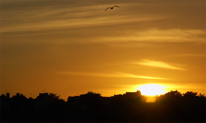 21h30aConcarneau.jpg