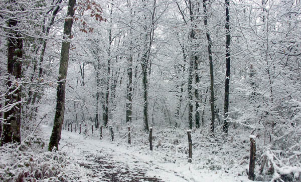 Chemin3web.jpg