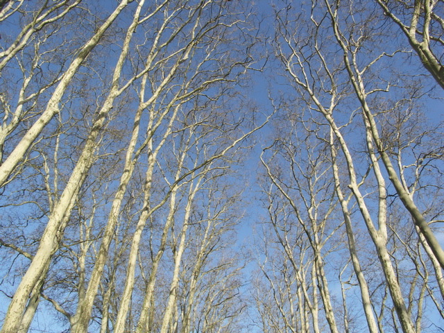 PICT0010_5.jpg