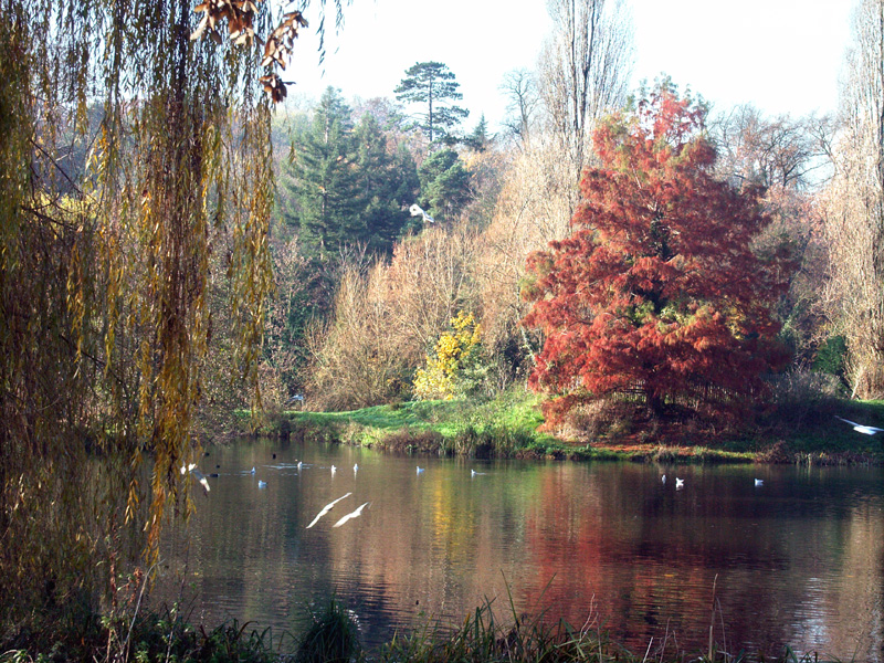 PICT0034.jpg