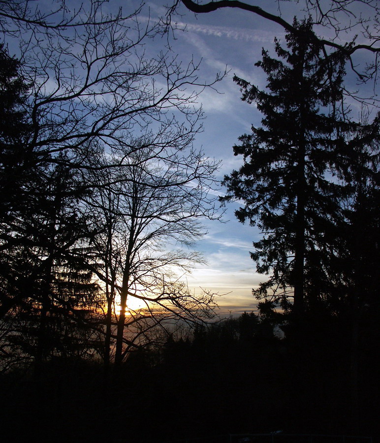 PICT00585.jpg