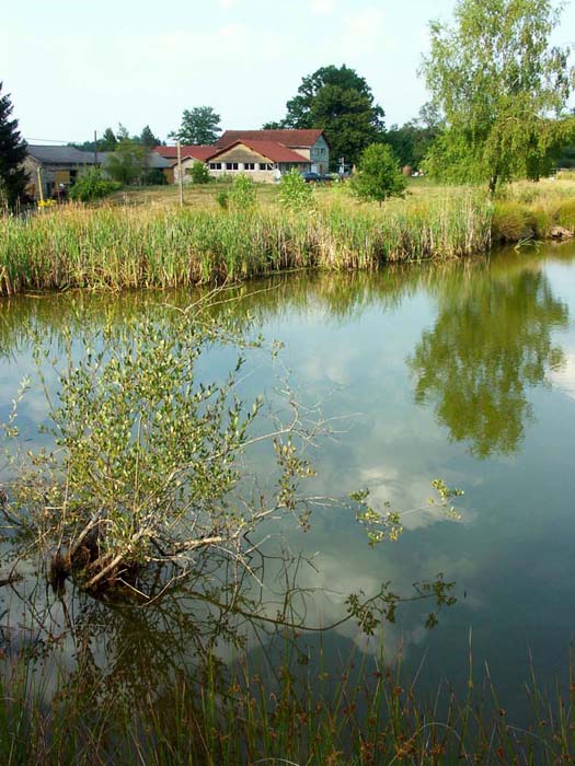 PICT007.jpg