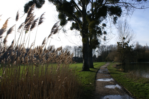 PICT1447.jpg