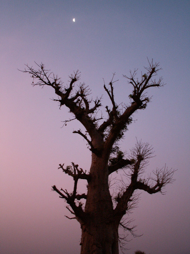 PICT2028.jpg
