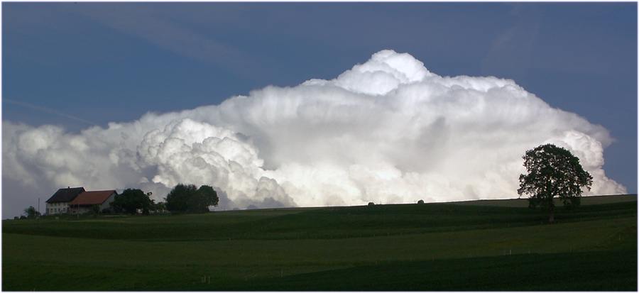 PICT2835.jpg