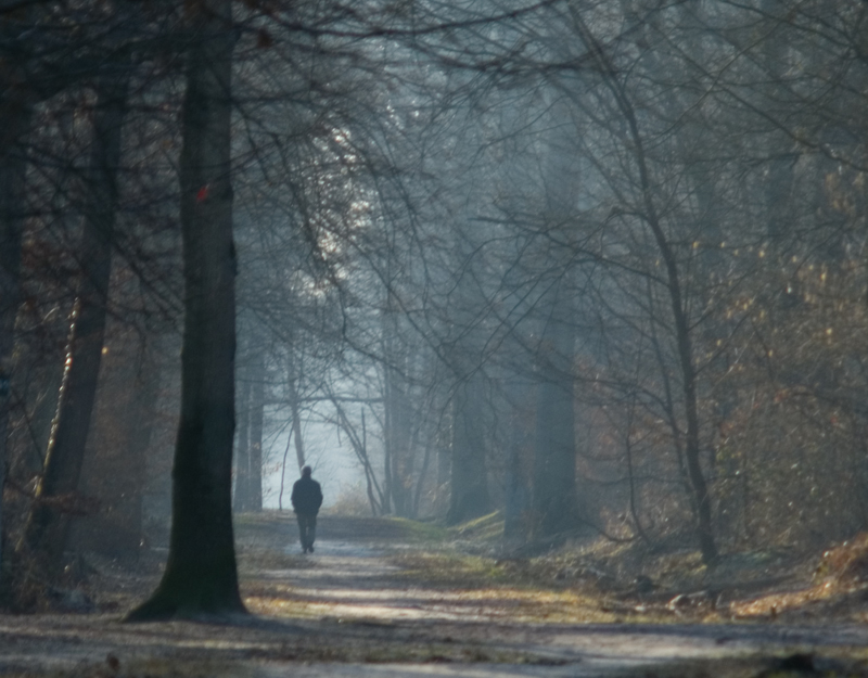 PromenadeF.jpg