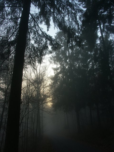 automne.jpg