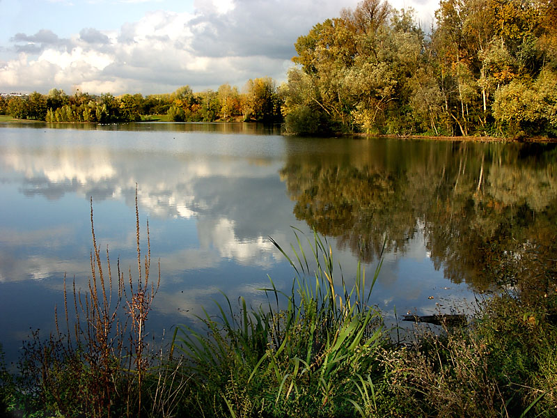etang_de_Cergy.jpg