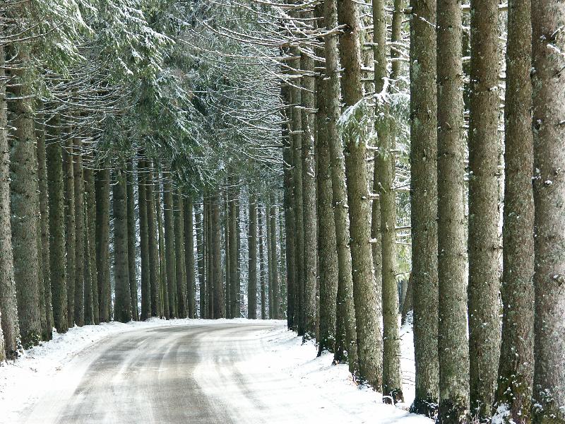 hiver01.jpg