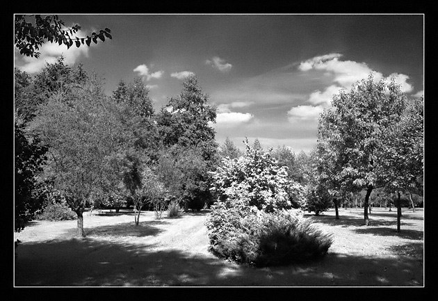ir.jpg