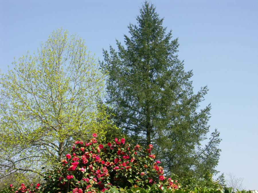 jardins.jpg