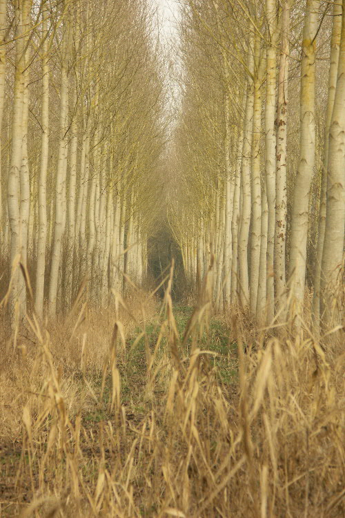 loire0003.jpg