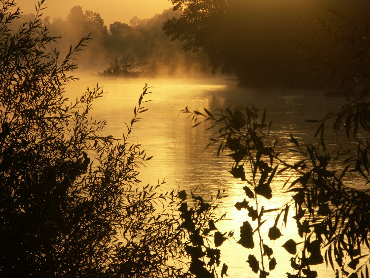 loire0004.jpg