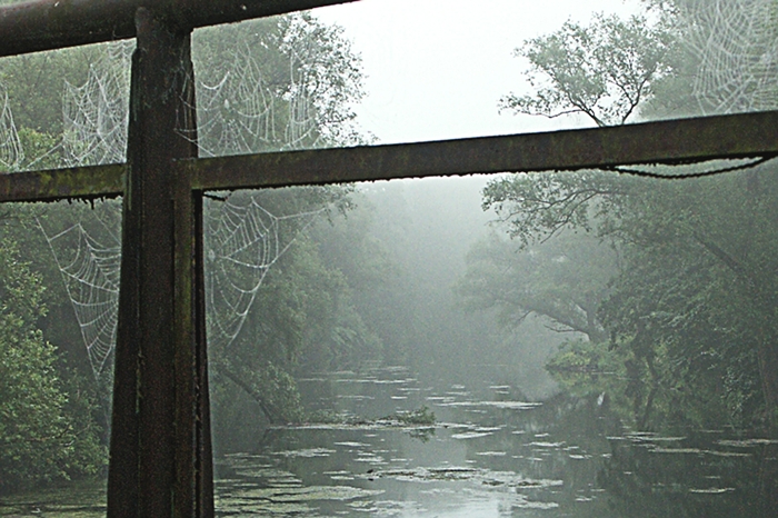 orne_brume.jpg