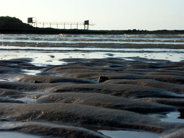 paysages_gn_5.jpg