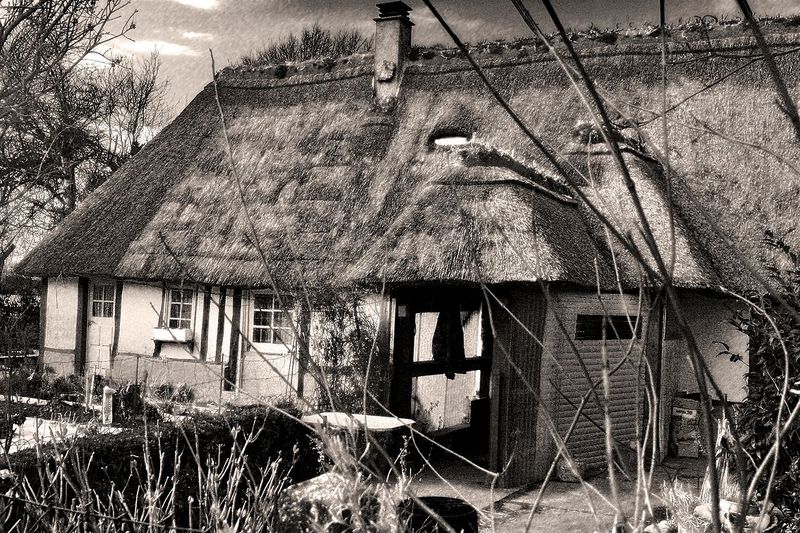 pict3551.jpg