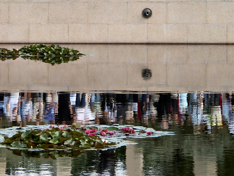 reflets.jpg
