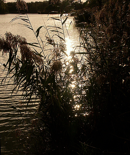 reflets727.jpg