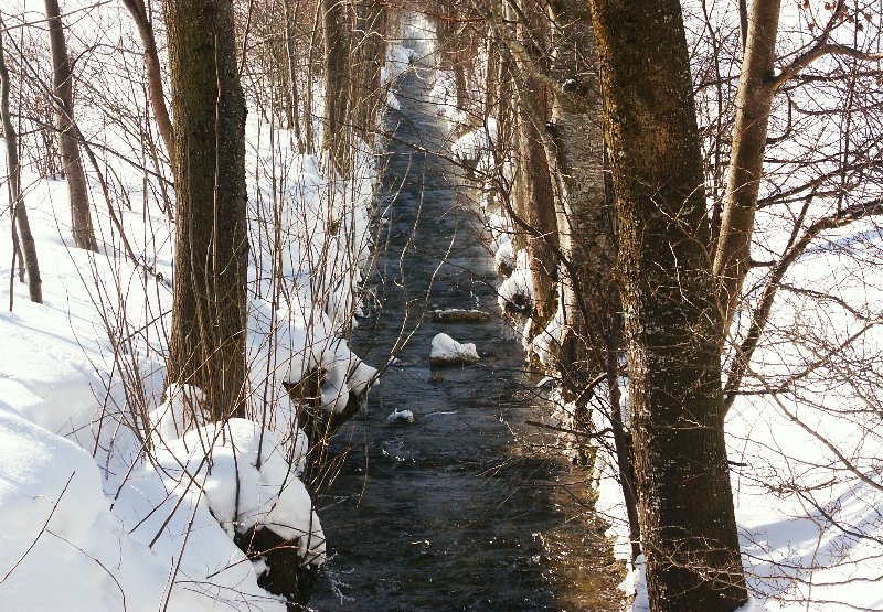 riviere.jpg