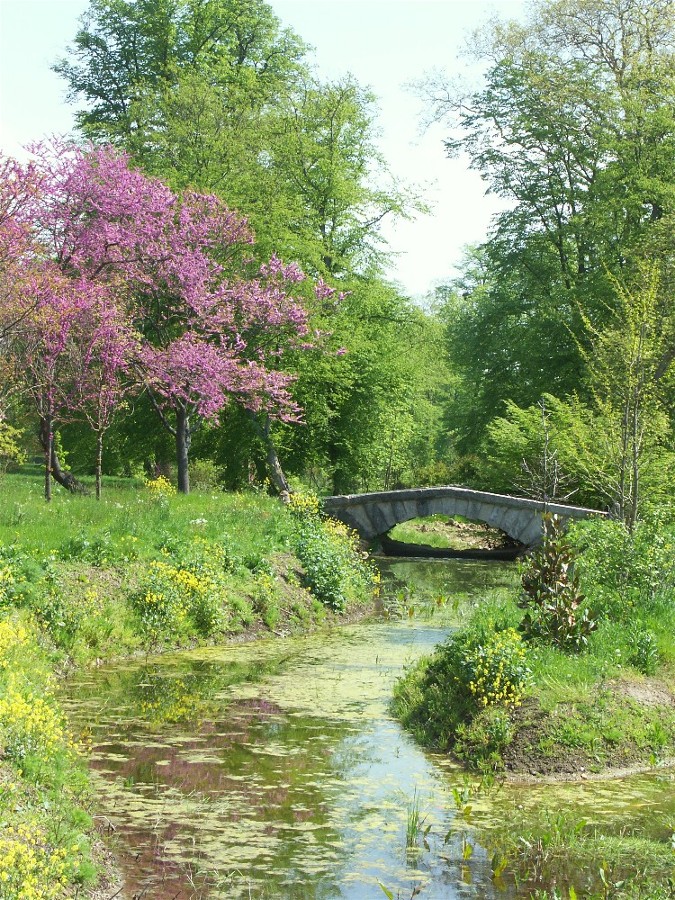 ruisseau.jpg