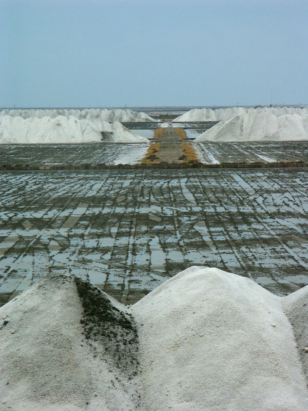 salins.jpg