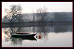 Bords_de_Loire_02.jpg