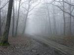 Brouillard.jpg