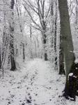 Chemin1web.jpg