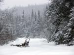 Neige2.jpg
