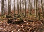 PICT0023.jpg