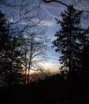 PICT00585.jpg