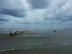 camargue-01.jpg