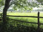 diversnature052004.jpg