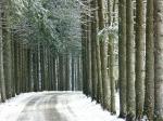 hiver01.jpg