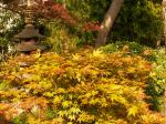 japon3