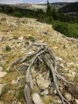 mont_ventoux_3.jpg