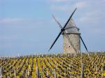 moulin_medocain.jpg