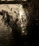 reflets727.jpg