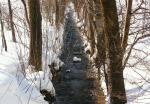 riviere