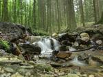 ruisseau_ardennes.jpg